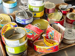 Empty cans of tuna in oil on a sheet pan