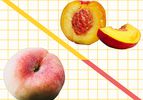 Peaches vs Necatrines