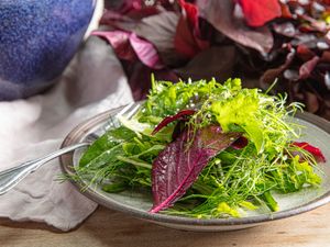 A plate with a mixed greens salad fork placed beside red leaves and herbs visible
