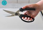 A person holding a pair of poultry shears.