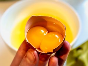 Double egg yolks held in a cracked eggshell with a bowl in the background