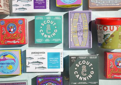 a variety of tinned fish on a pale, sea foam green background