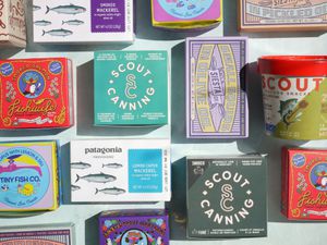 a variety of tinned fish on a pale, sea foam green background